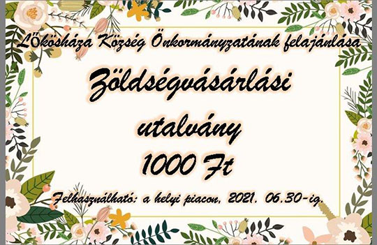 zolsegv