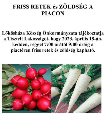 piac230417