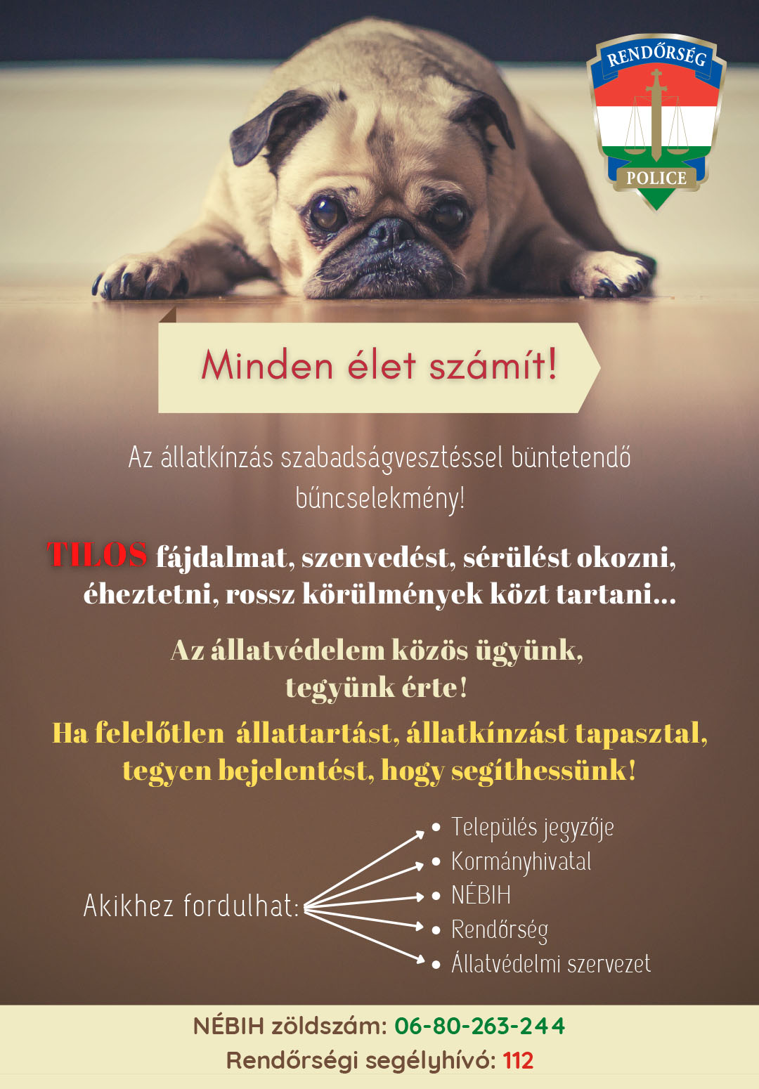 allatkinzas 231002