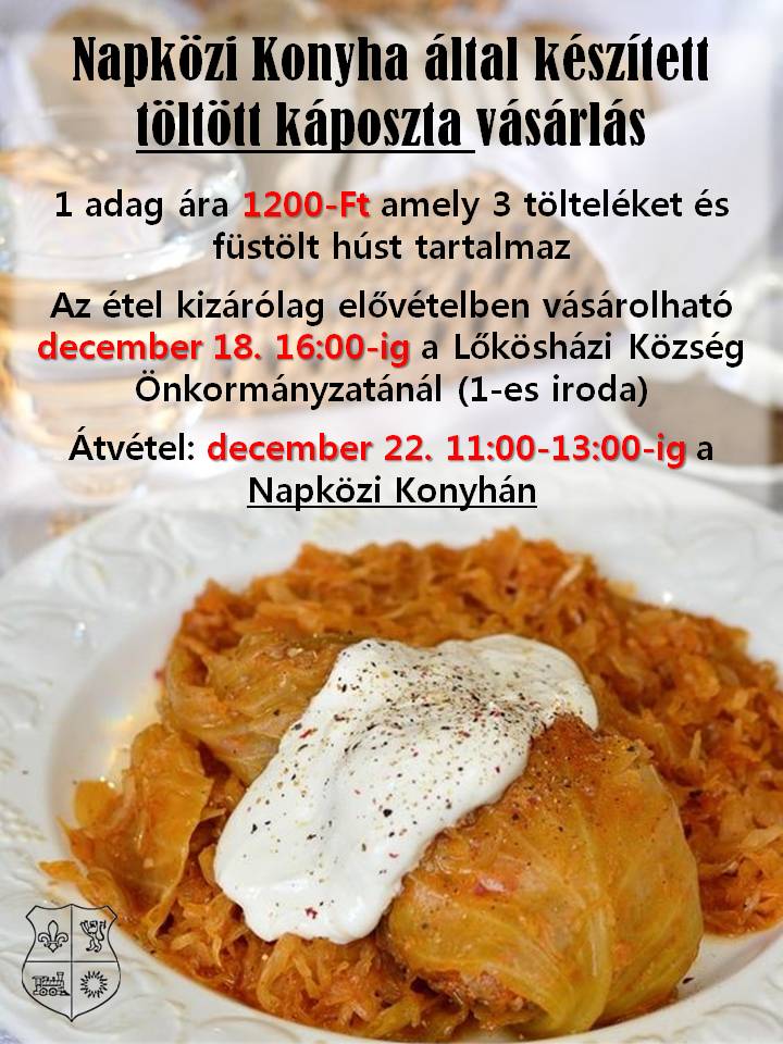tolott kaposzta 231128