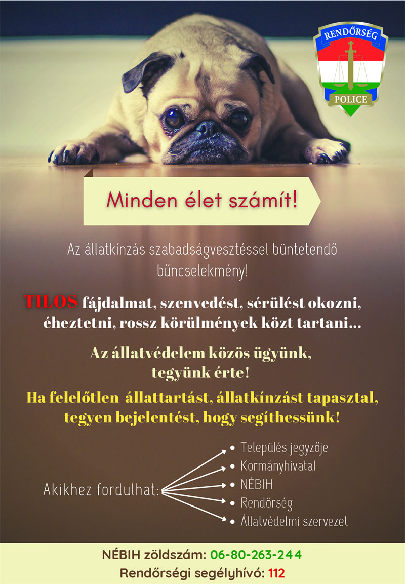 mineneletszamit241011