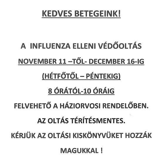 vedooltas_241108.jpeg