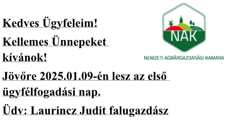 falugazda241220.jpeg