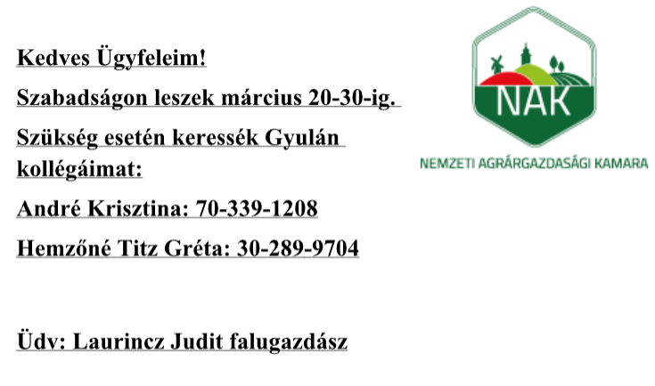 falugazda250314.jpeg